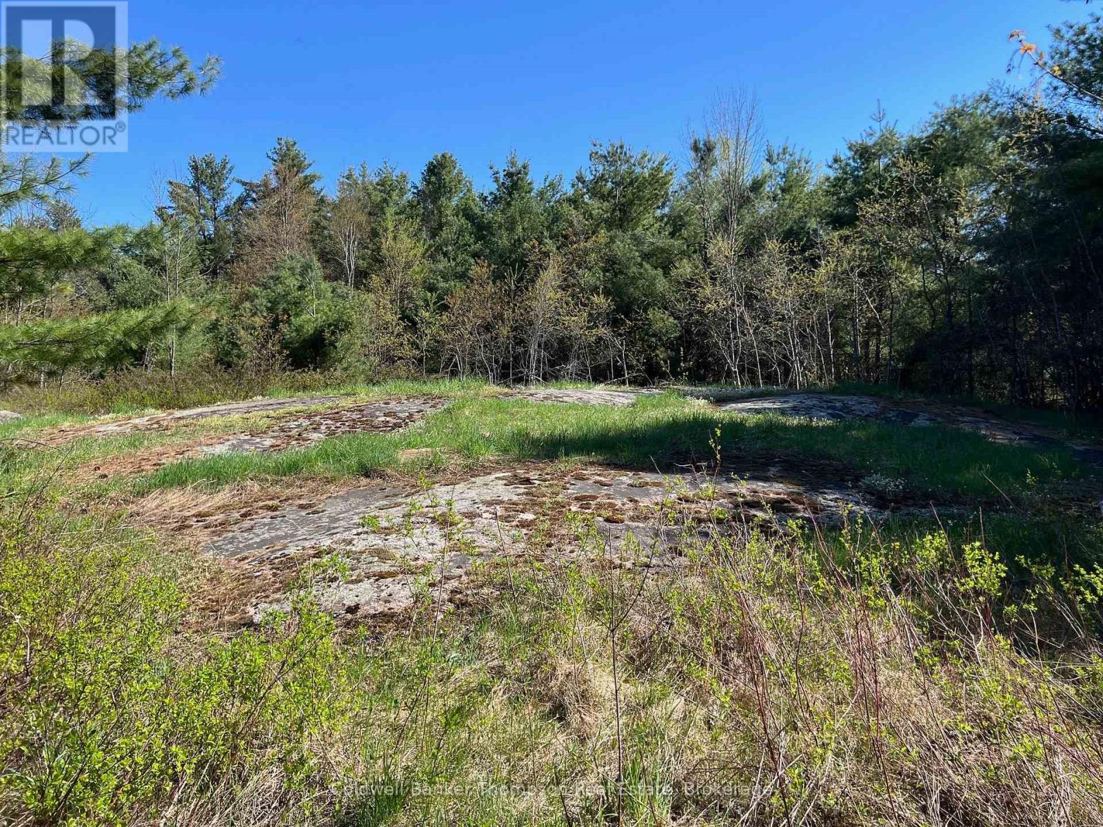 1513 Fairgrounds Road, Ramara, Ontario L0K 2B0 - Photo 3 - S13577934