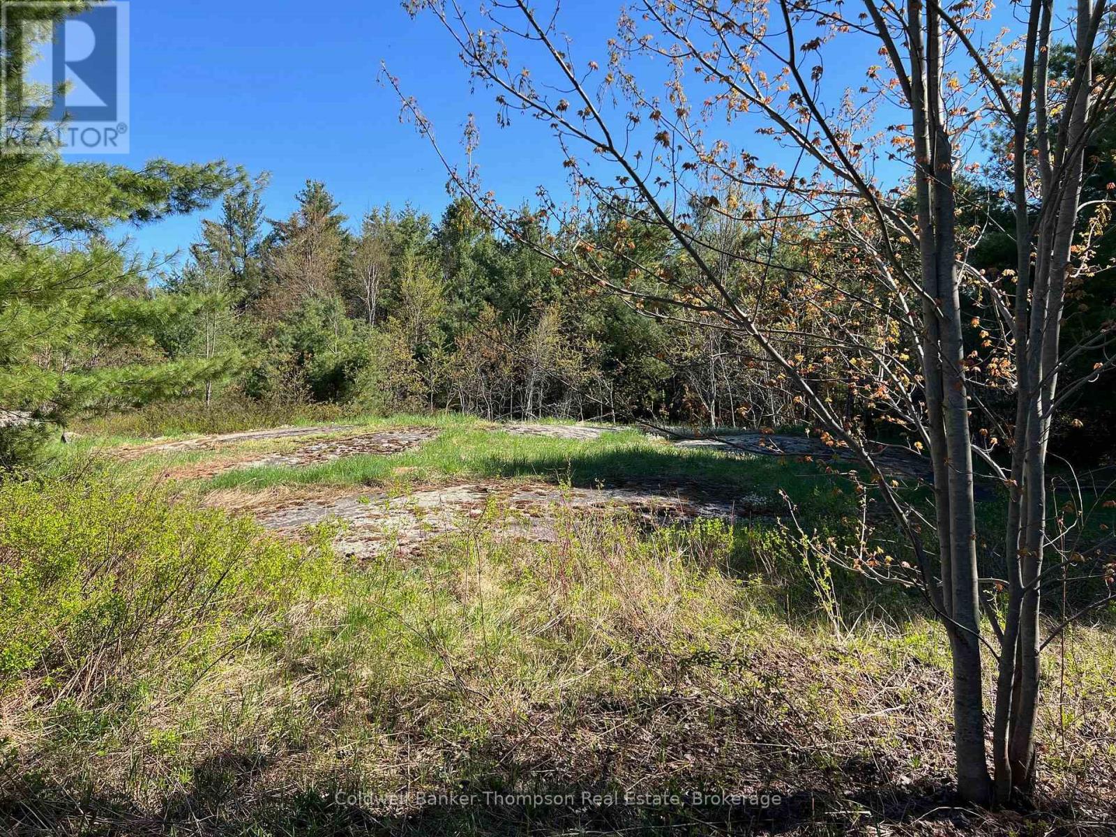 1513 Fairgrounds Road, Ramara, Ontario L0K 2B0 - Photo 4 - S13577934