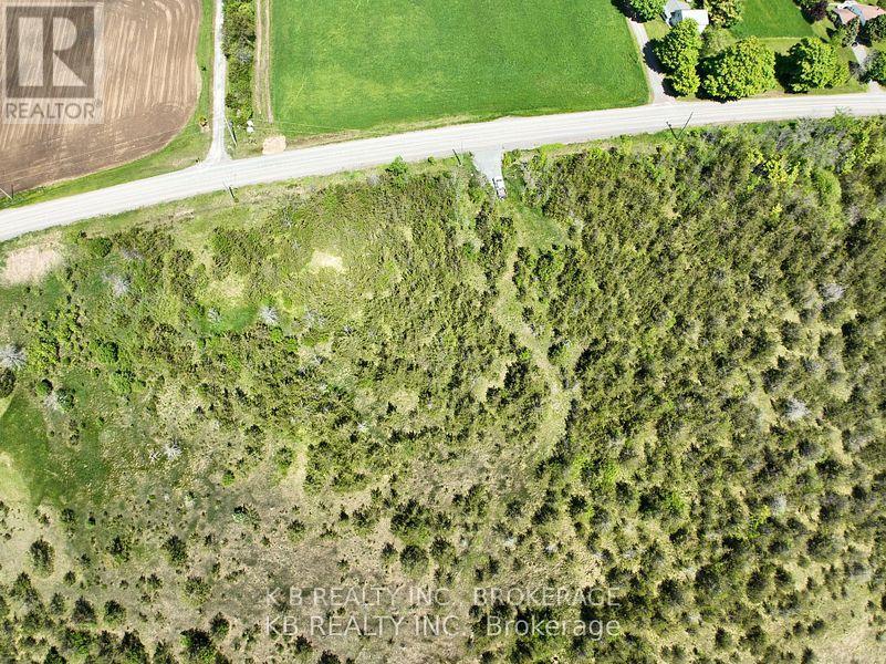 502 Centerville Road, Stone Mills, Ontario  K0K 1N0 - Photo 5 - X13577954