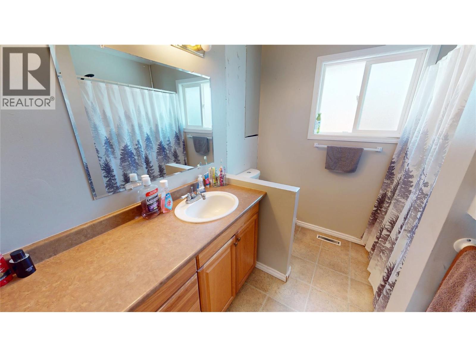 904 9th Street S, Cranbrook, British Columbia  V1C 1R7 - Photo 17 - 10395105