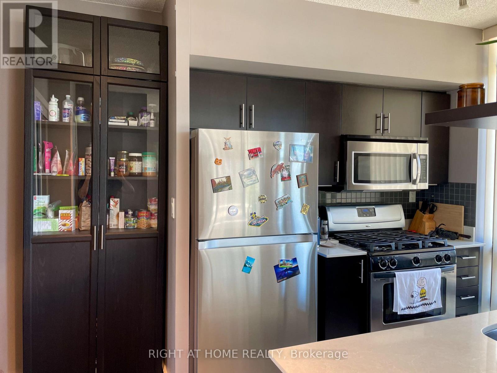 315 - 3 Navy Wharf Court, Toronto, Ontario  M5V 3V1 - Photo 10 - C13578180