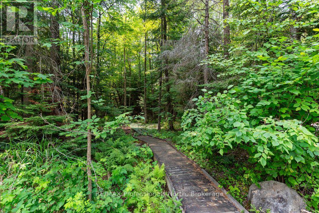 1010 Leblanc Trail, Dysart Et Al, Ontario  K0M 1S0 - Photo 32 - X13578518