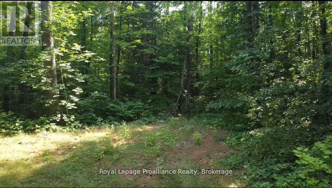 Pt Lt 22 Sunrise Beach Lane, Frontenac, Ontario  K0H 1K0 - Photo 1 - X13578758
