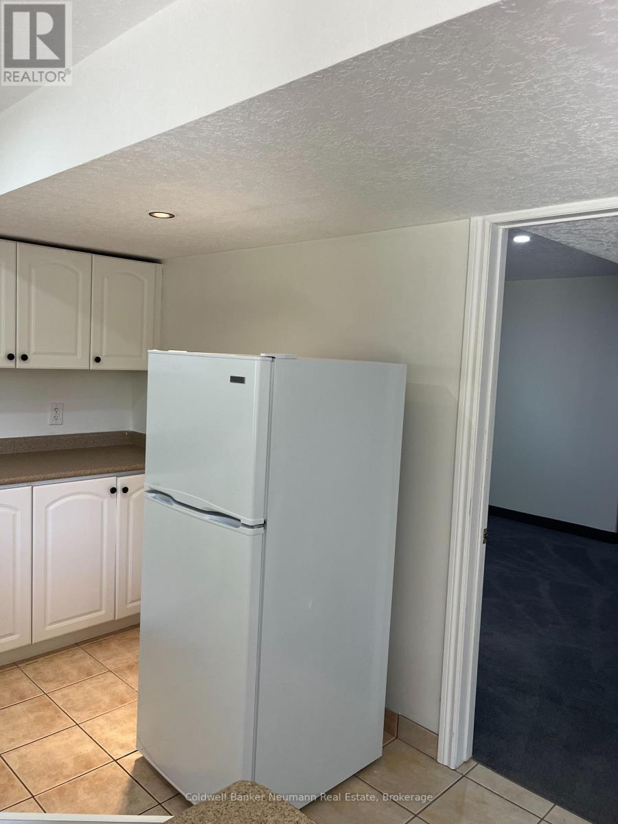Lower - 198 Summerfield Drive, Guelph (Pineridge/westminster Woods), Ontario  N1L 1L3 - Photo 11 - X13579820
