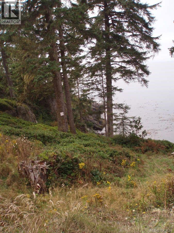 1030 Roxview Crt, Sooke, British Columbia V9Z 1L8 - Photo 4 - 1043624