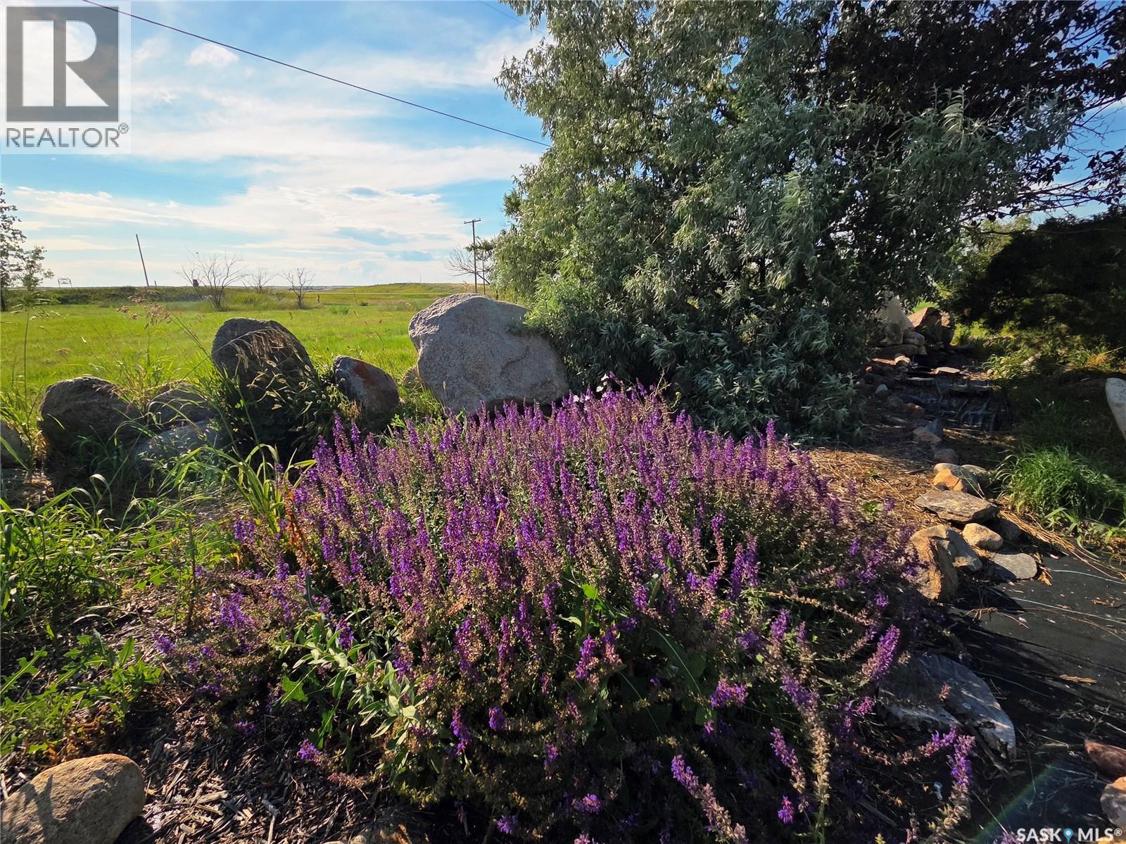 140 Abbot Street, Piapot, Saskatchewan  S0N 1Y0 - Photo 4 - SK042982