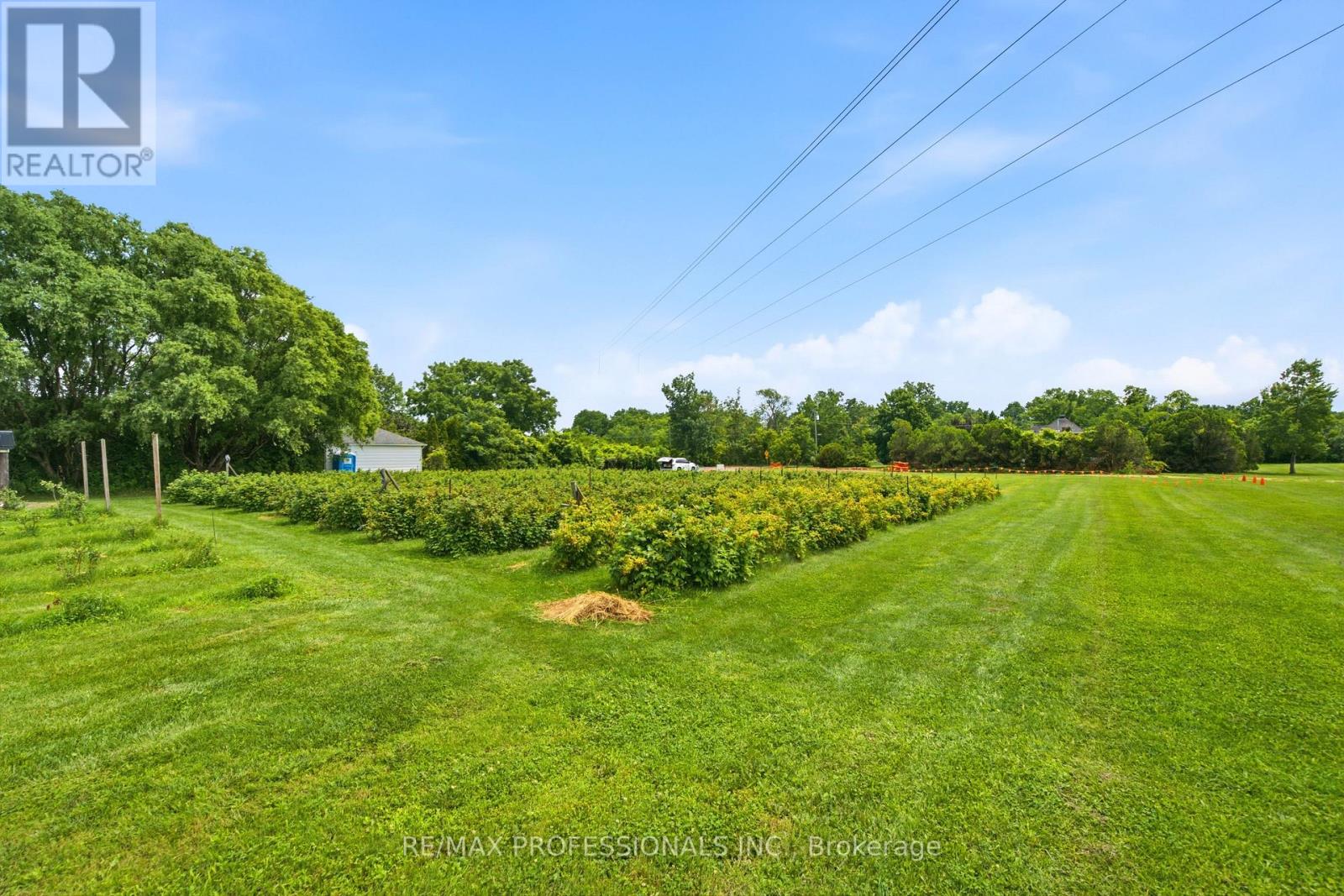 Lot 1 Tallman Drive, Lincoln, Ontario  L0R 2C0 - Photo 18 - X13544484