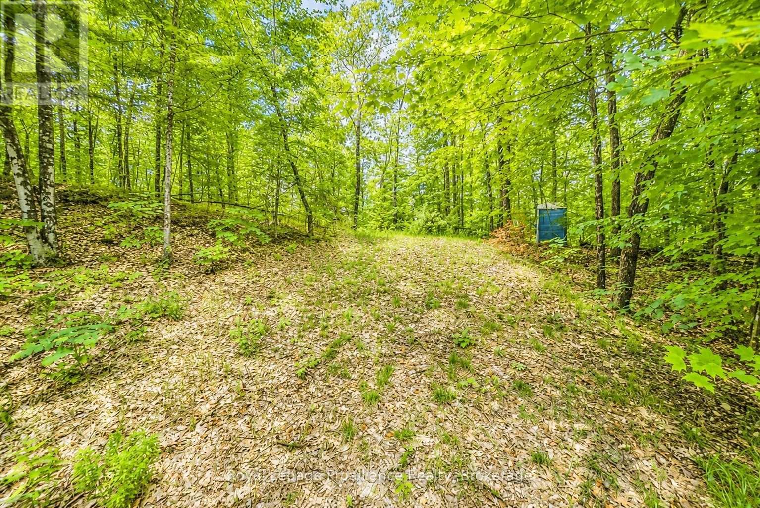 2328b Road 506, Frontenac, Ontario  K0H 1K0 - Photo 15 - X13580086