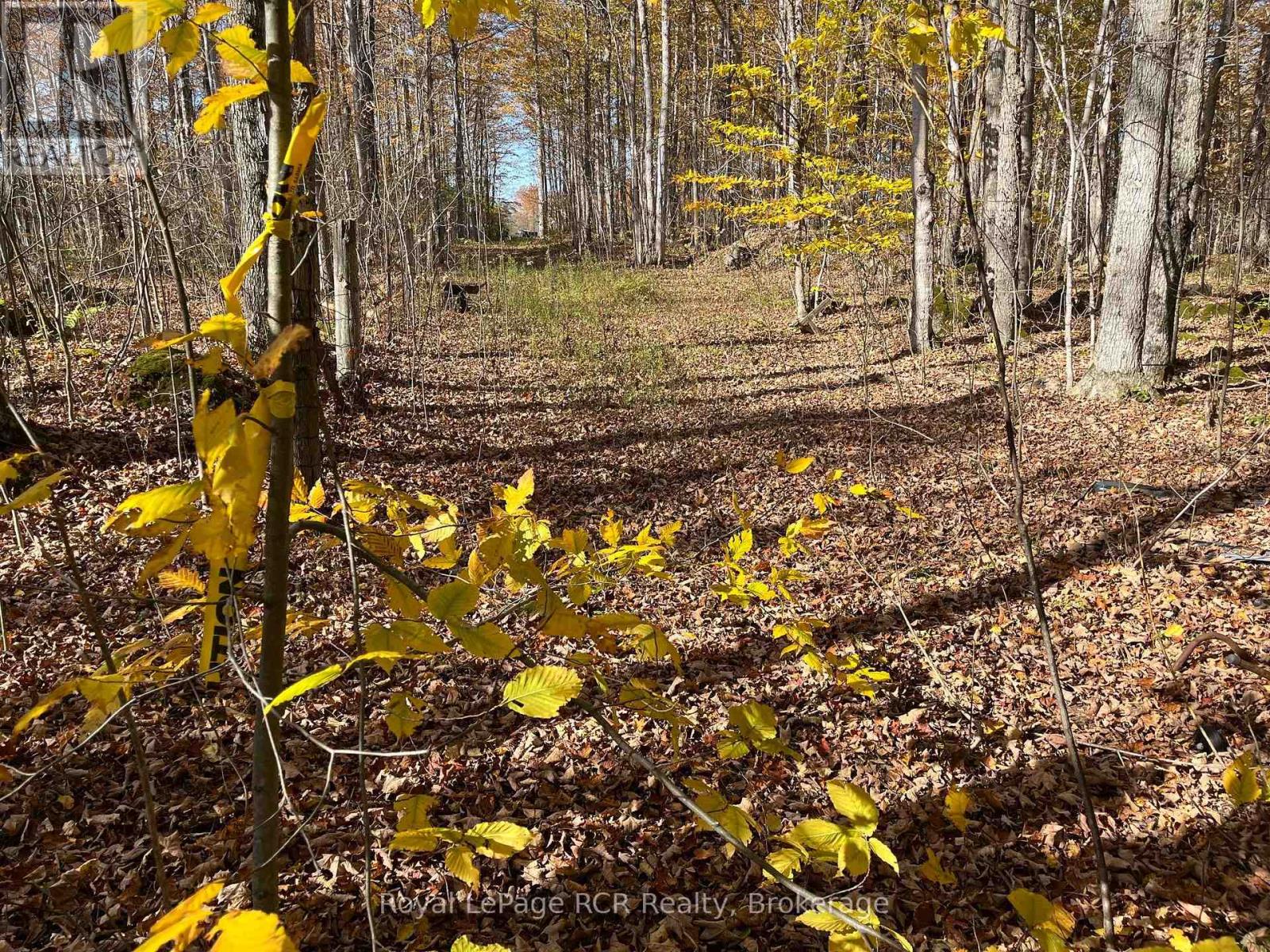 Part Lot 17 Grey Road 17 Road E, Georgian Bluffs, Ontario N0H 2T0 - Photo 1 - X13580126