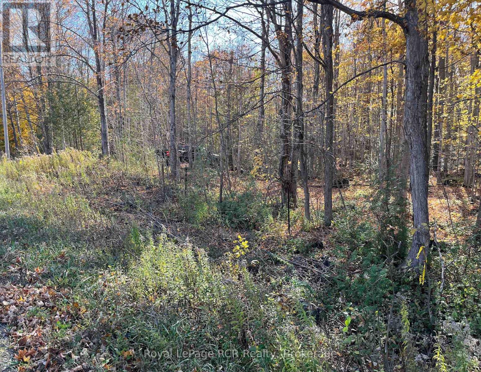 Part Lot 17 Grey Road 17 Road E, Georgian Bluffs, Ontario N0H 2T0 - Photo 4 - X13580126