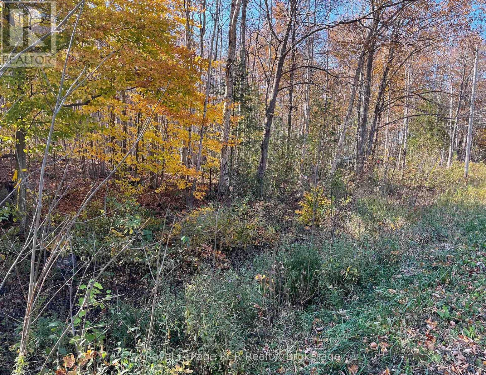 Part Lot 17 Grey Road 17 Road E, Georgian Bluffs, Ontario N0H 2T0 - Photo 5 - X13580126