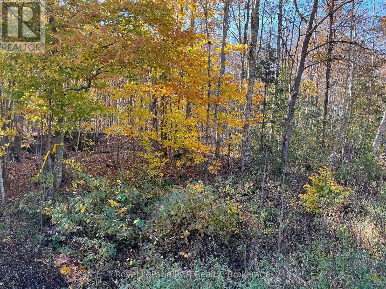 Part Lot 17 Grey Road 17 Road E, Georgian Bluffs, Ontario N0H 2T0 - Photo 6 - X13580126