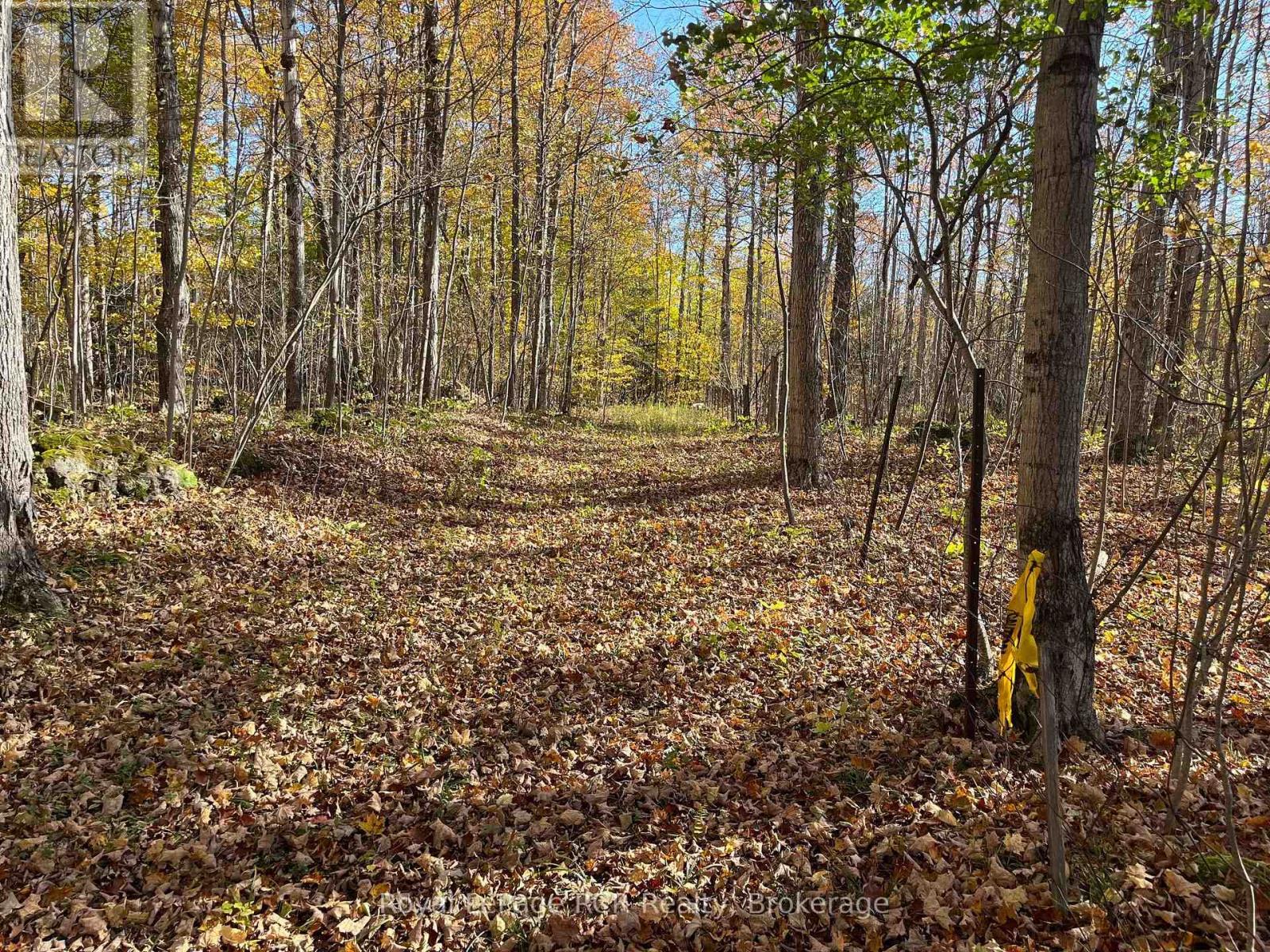 Part Lot 17 Grey Road 17 Road E, Georgian Bluffs, Ontario N0H 2T0 - Photo 7 - X13580126