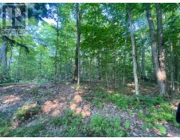LOT # 7 - 1310 CAMEL LAKE ROAD, Muskoka Lakes, Ontario