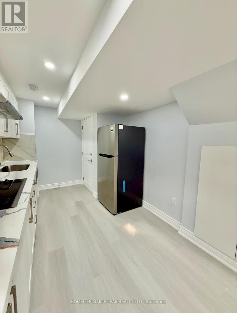 Basement - 67 Dolobram Trail, Brampton, Ontario  L7A 4Y4 - Photo 2 - W13580296