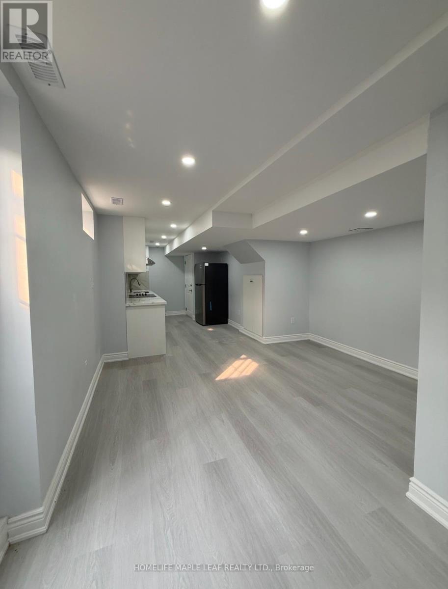 Basement - 67 Dolobram Trail, Brampton, Ontario  L7A 4Y4 - Photo 4 - W13580296