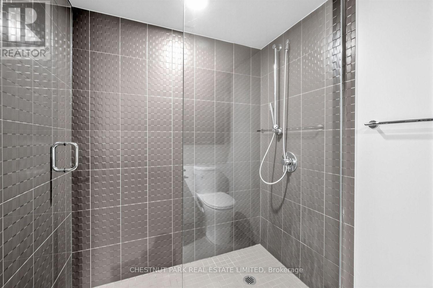 703 - 78 Tecumseth Street, Toronto, Ontario  M5V 0A9 - Photo 14 - C13575200