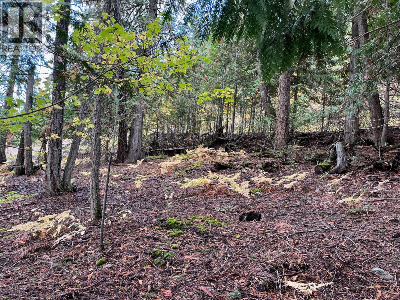 Columbia Drive Lot# 138, Anglemont, British Columbia  V0E 1M8 - Photo 7 - 10378444
