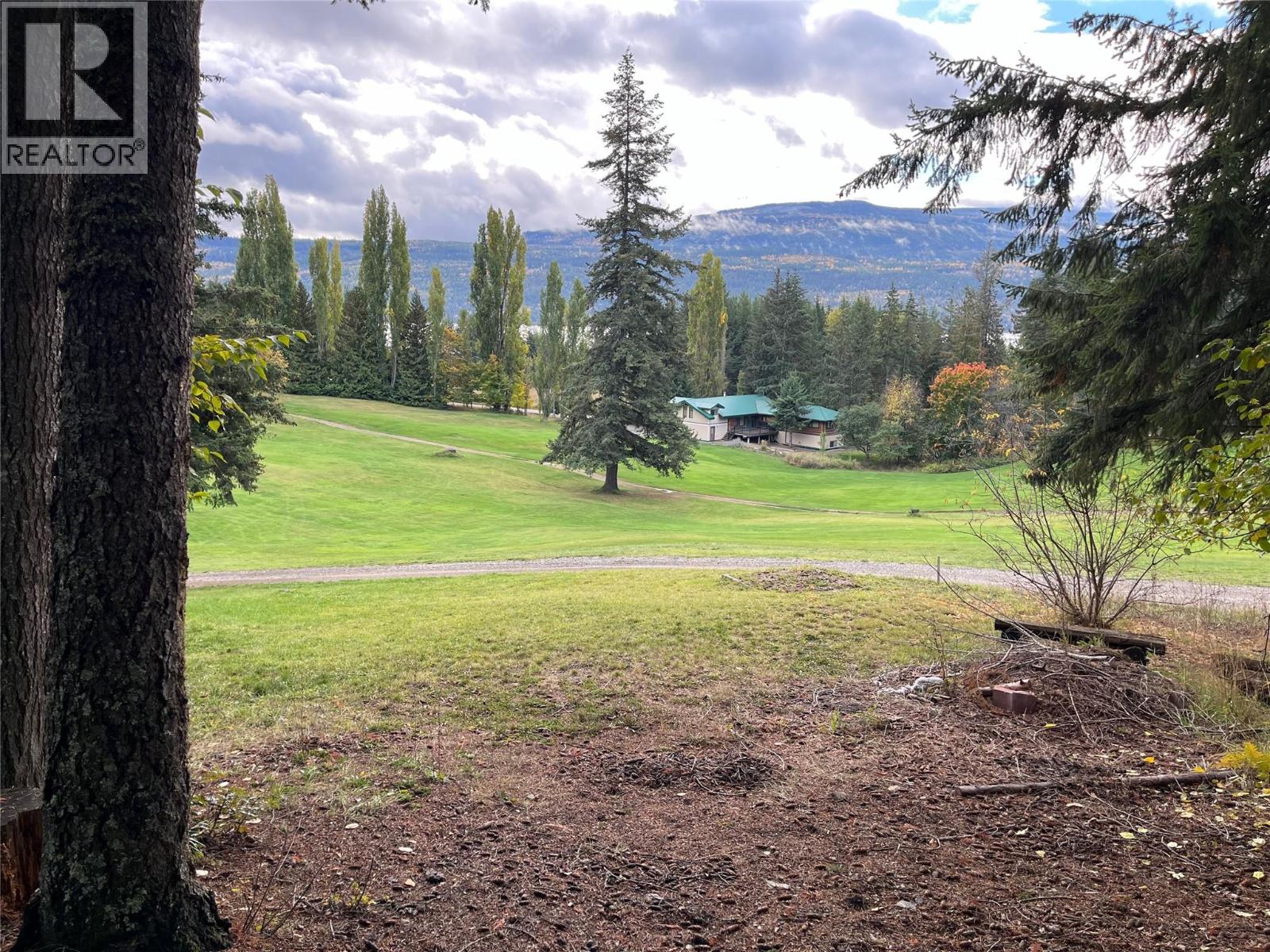 Columbia Drive Lot# 138, Anglemont, British Columbia  V0E 1M8 - Photo 6 - 10378444