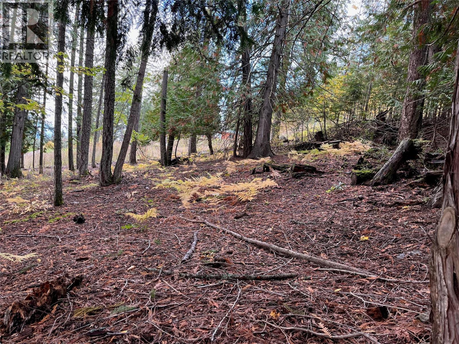 Columbia Drive Lot# 138, Anglemont, British Columbia  V0E 1M8 - Photo 1 - 10378444