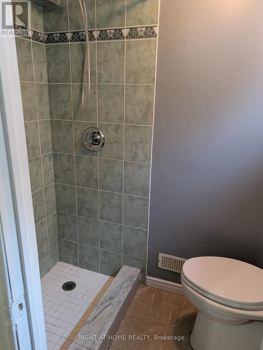 Bsmt - 163 Mcmurchy Avenue S, Brampton, Ontario  L6X 1Z2 - Photo 11 - W13580878