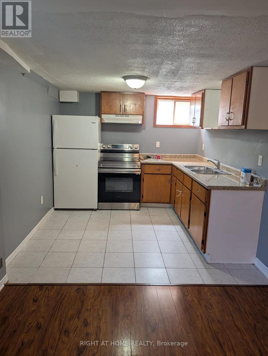Bsmt - 163 Mcmurchy Avenue S, Brampton, Ontario  L6X 1Z2 - Photo 2 - W13580878
