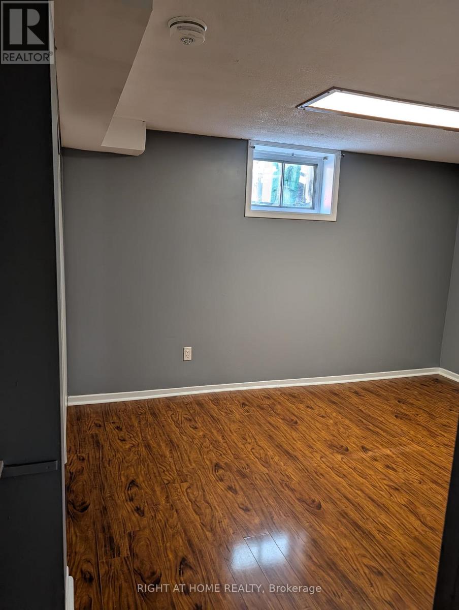 Bsmt - 163 Mcmurchy Avenue S, Brampton, Ontario  L6X 1Z2 - Photo 4 - W13580878