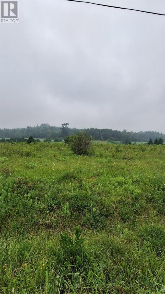 Gordon Lake Rd, Johnson Twp, Ontario P0R 1E0 - Photo 8 - SM261896