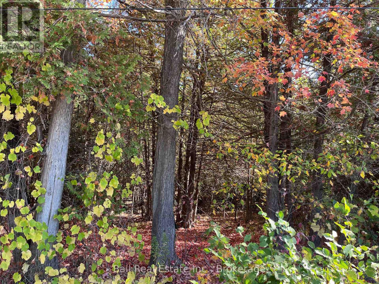 0 Koa Road, Marmora And Lake, Ontario  K0K 2M0 - Photo 1 - X13580910