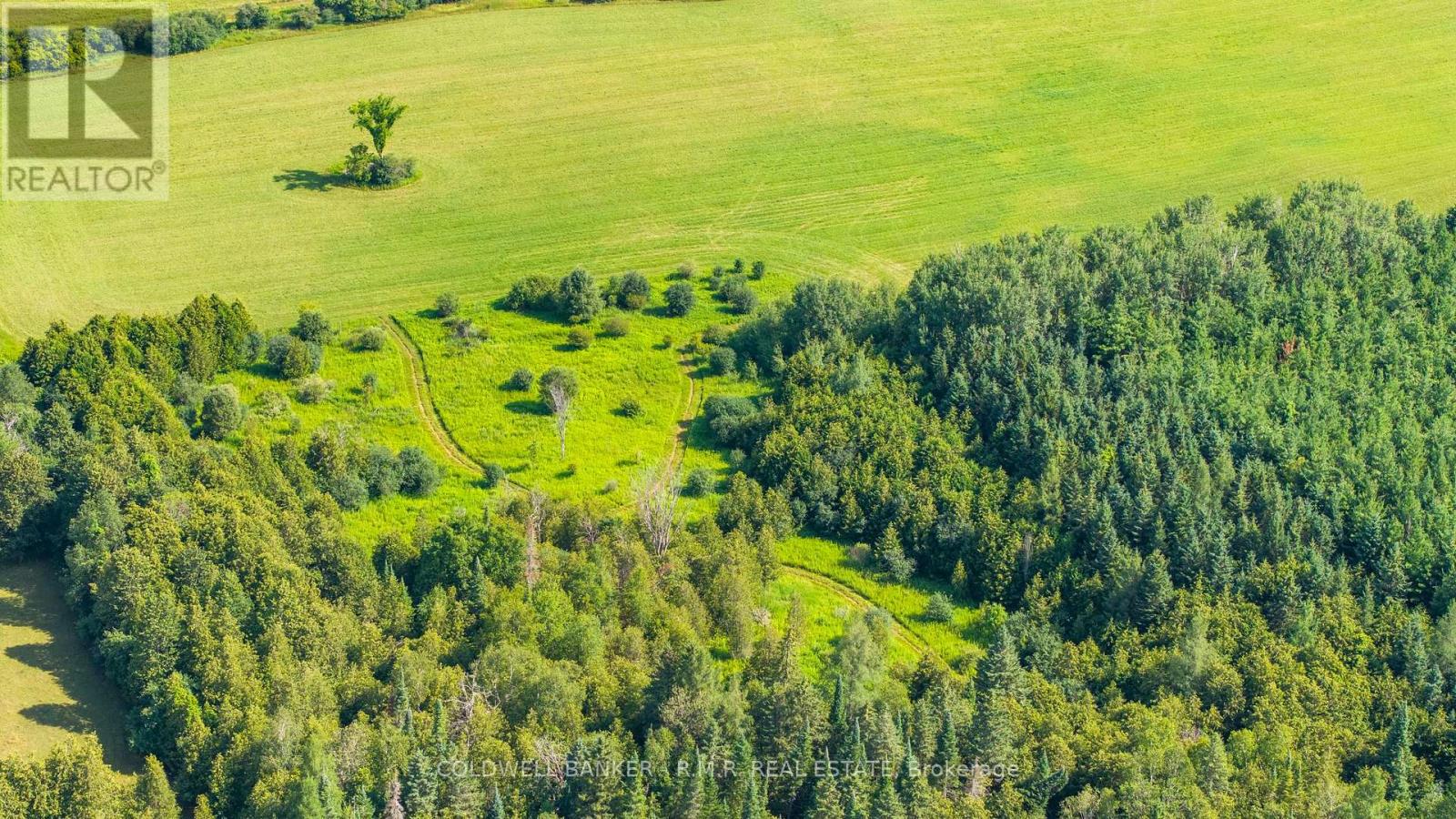 10400 And 10800 Concession 6 Road, Uxbridge, Ontario L9P 1R2 - Photo 13 - N13580912