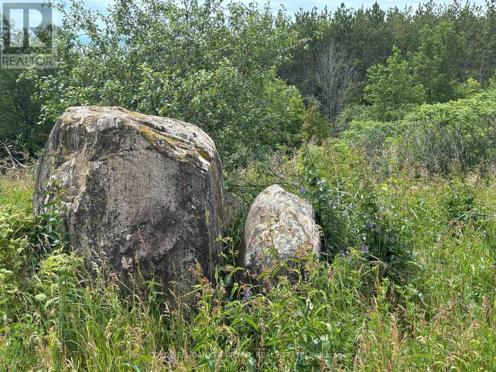 10400 And 10800 Concession 6 Road, Uxbridge, Ontario L9P 1R2 - Photo 22 - N13580912