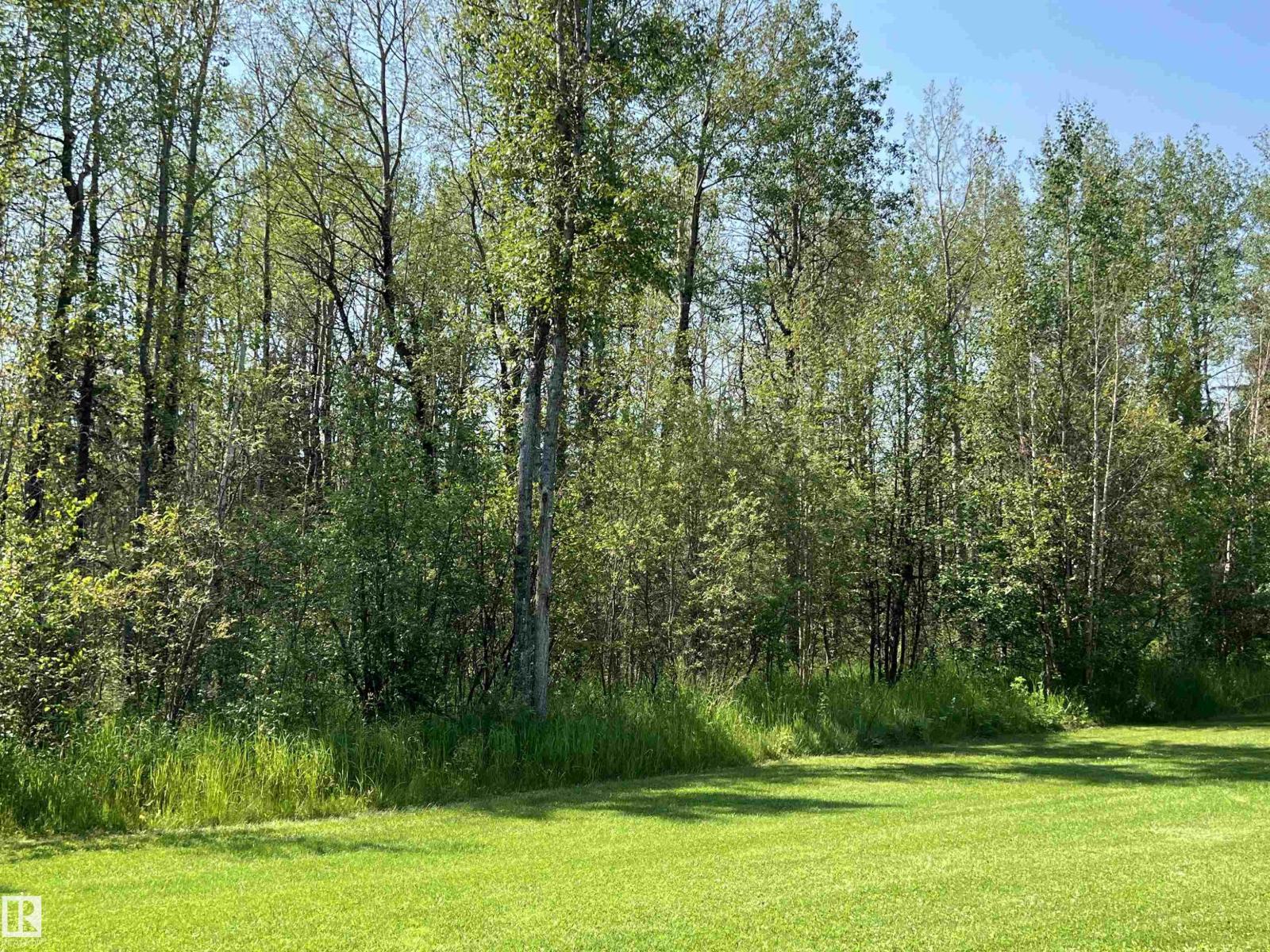 49427 Rr 81, Rural Brazeau County, Alberta  T7A 2A3 - Photo 60 - E4499703