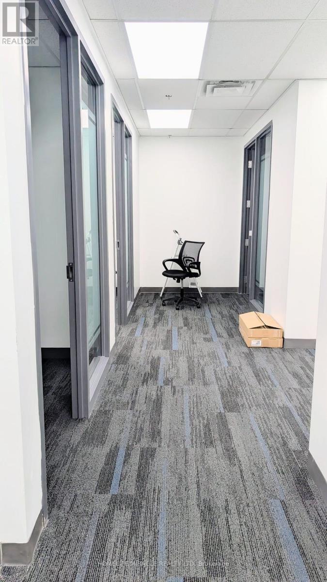 203 - 6660 Kennedy Road, Mississauga, Ontario L5T 2M9 - Photo 5 - W13581018