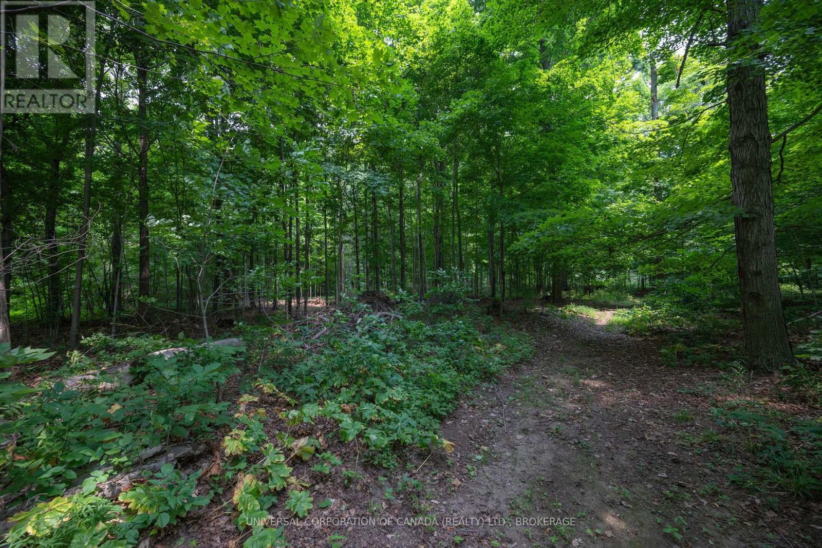 6242 Springfield Road, Malahide, Ontario  N5H 2R5 - Photo 44 - X13581136
