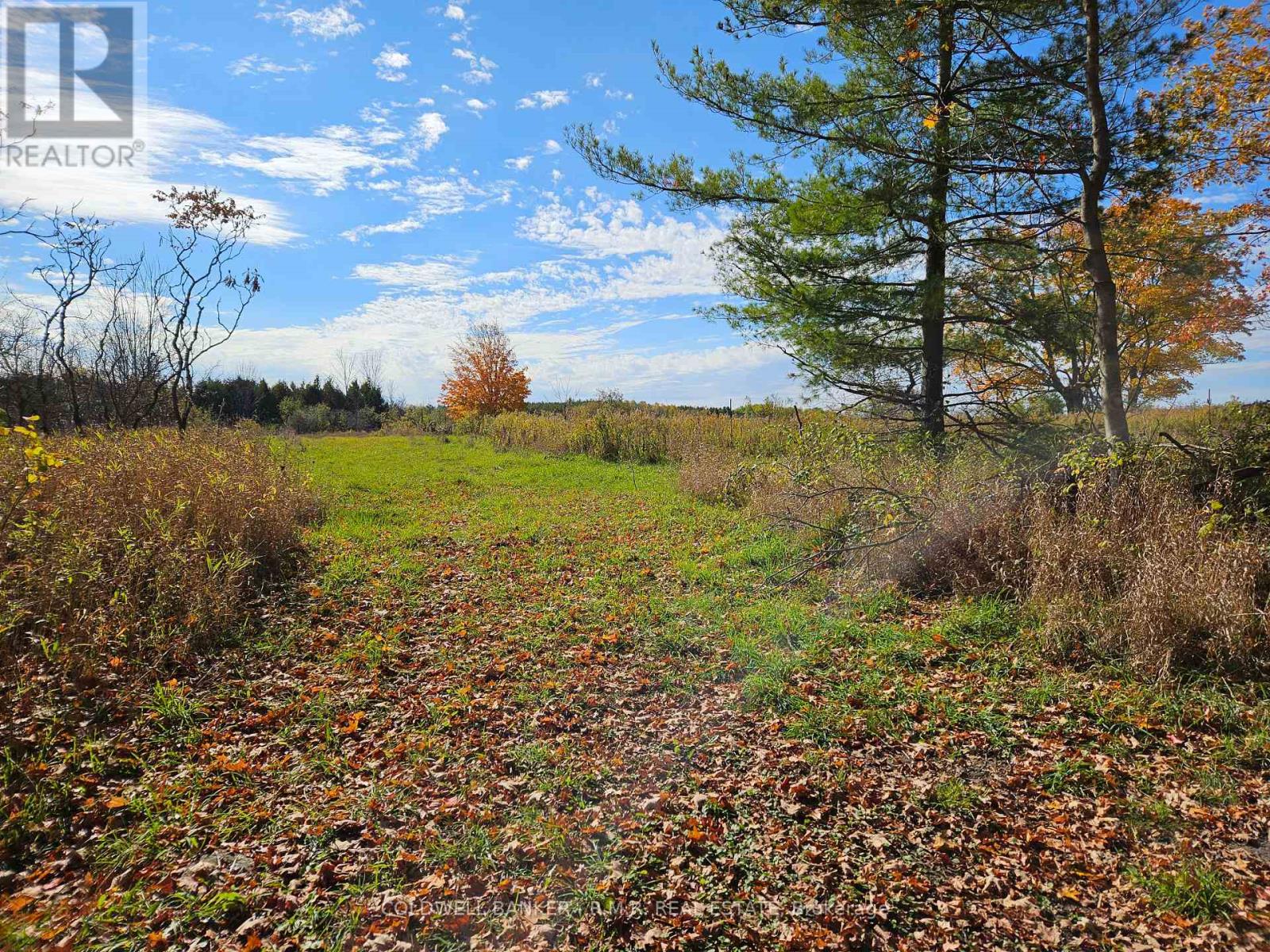10400 And 10800 Concession 6 Road, Uxbridge, Ontario L9P 1R2 - Photo 47 - N13580912