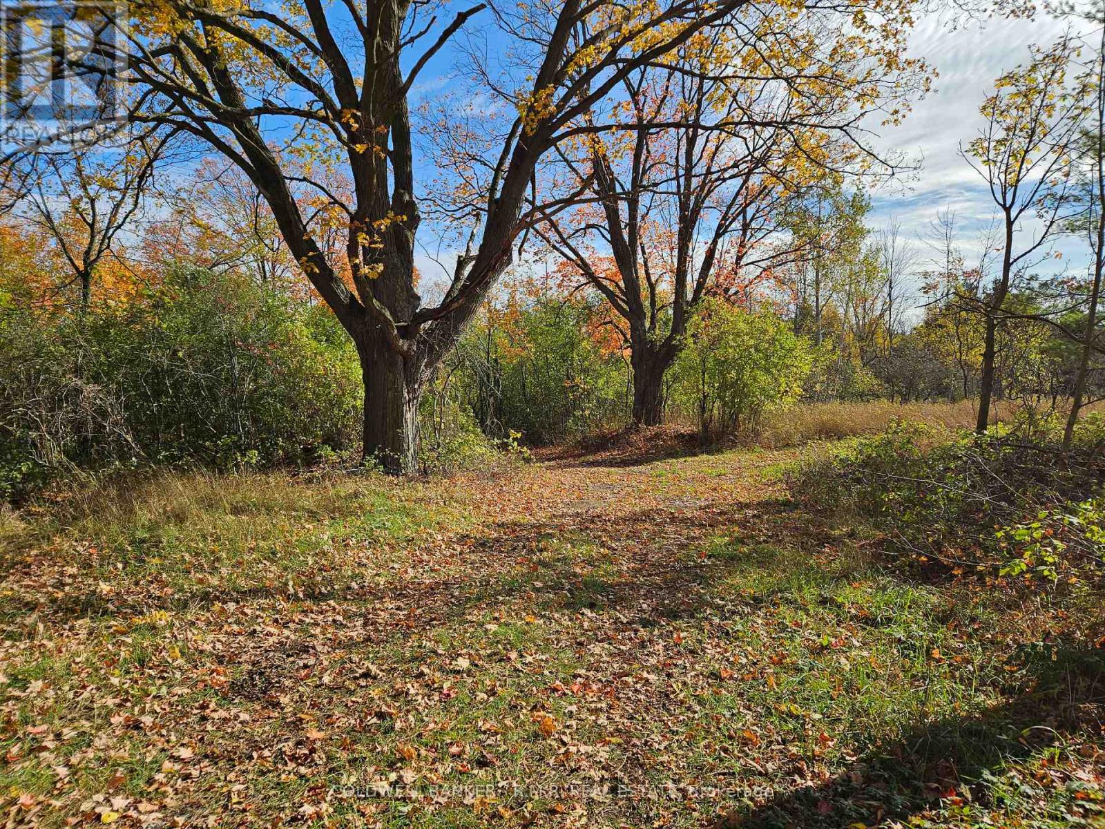 10400 And 10800 Concession 6 Road, Uxbridge, Ontario L9P 1R2 - Photo 45 - N13580912