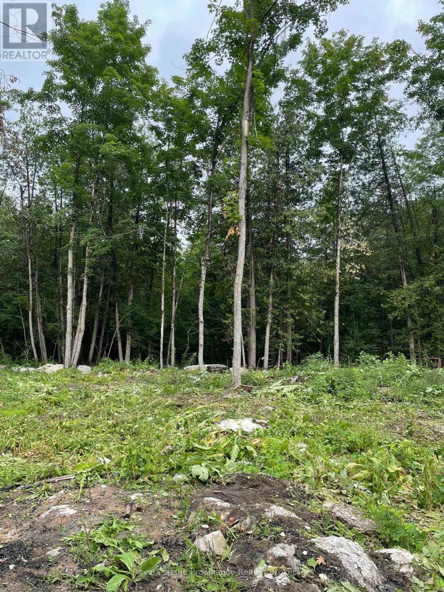 378 Station Road, Marmora And Lake, Ontario  K0K 2M0 - Photo 2 - X13119934