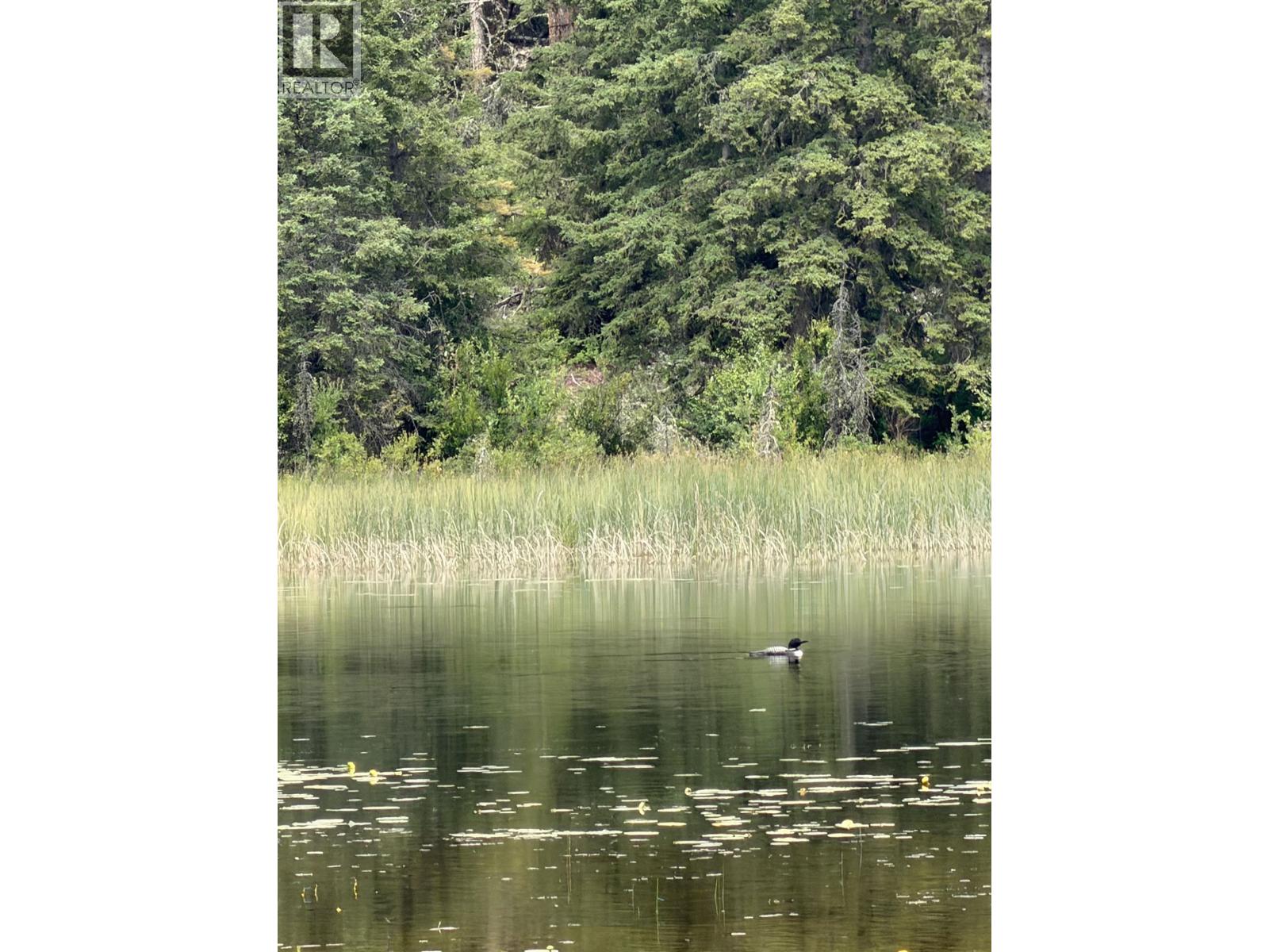 Dl 3803 Hinchie Road, 100 Mile House, British Columbia V0K 2K0 - Photo 12 - R3147732
