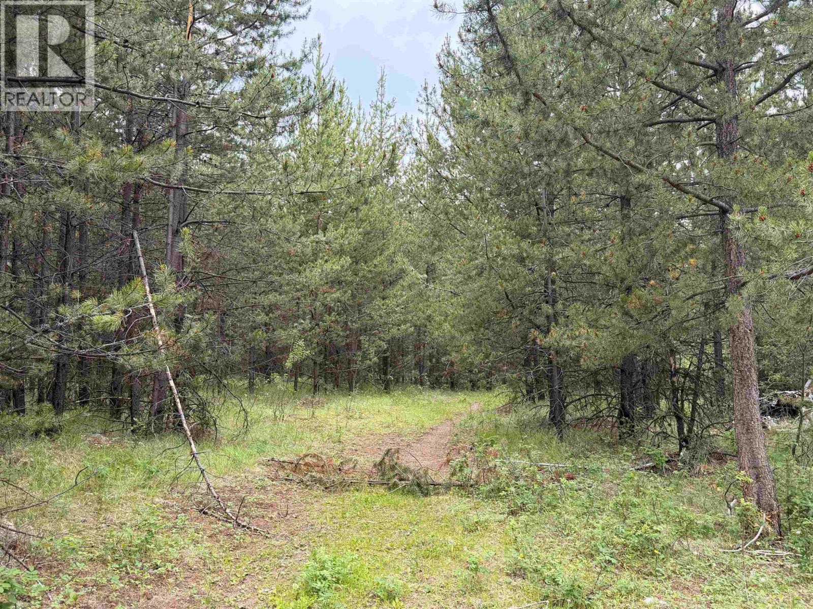 Dl 3803 Hinchie Road, 100 Mile House, British Columbia V0K 2K0 - Photo 20 - R3147732
