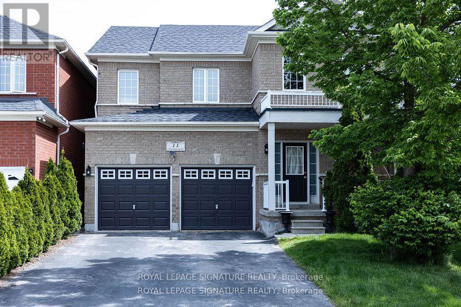 LOWER - 11 CELESTIAL COURT, Brampton, Ontario