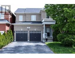 LOWER - 11 CELESTIAL COURT, Brampton, Ontario