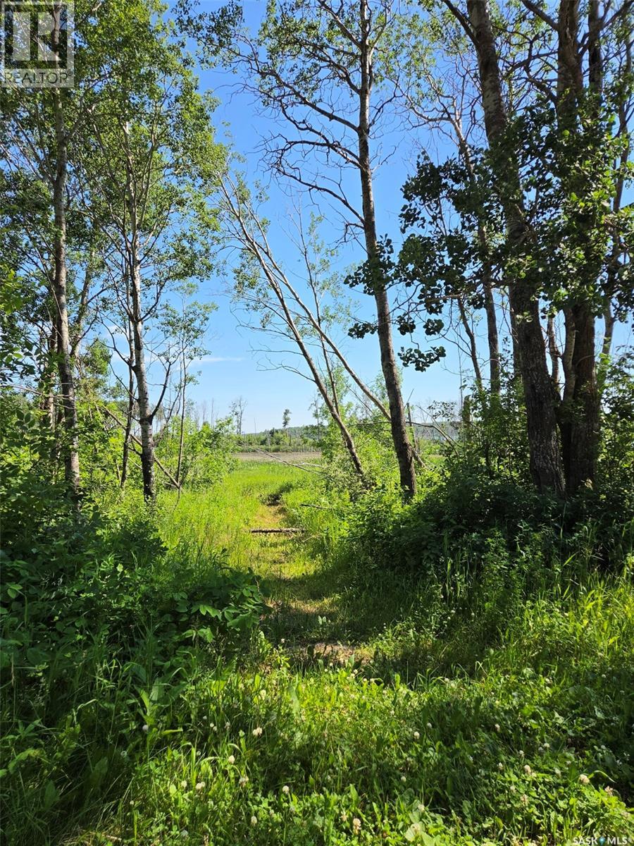 70 Kenosee Drive, Moose Mountain Provincial Park, Saskatchewan  S0C 2S0 - Photo 29 - SK043013