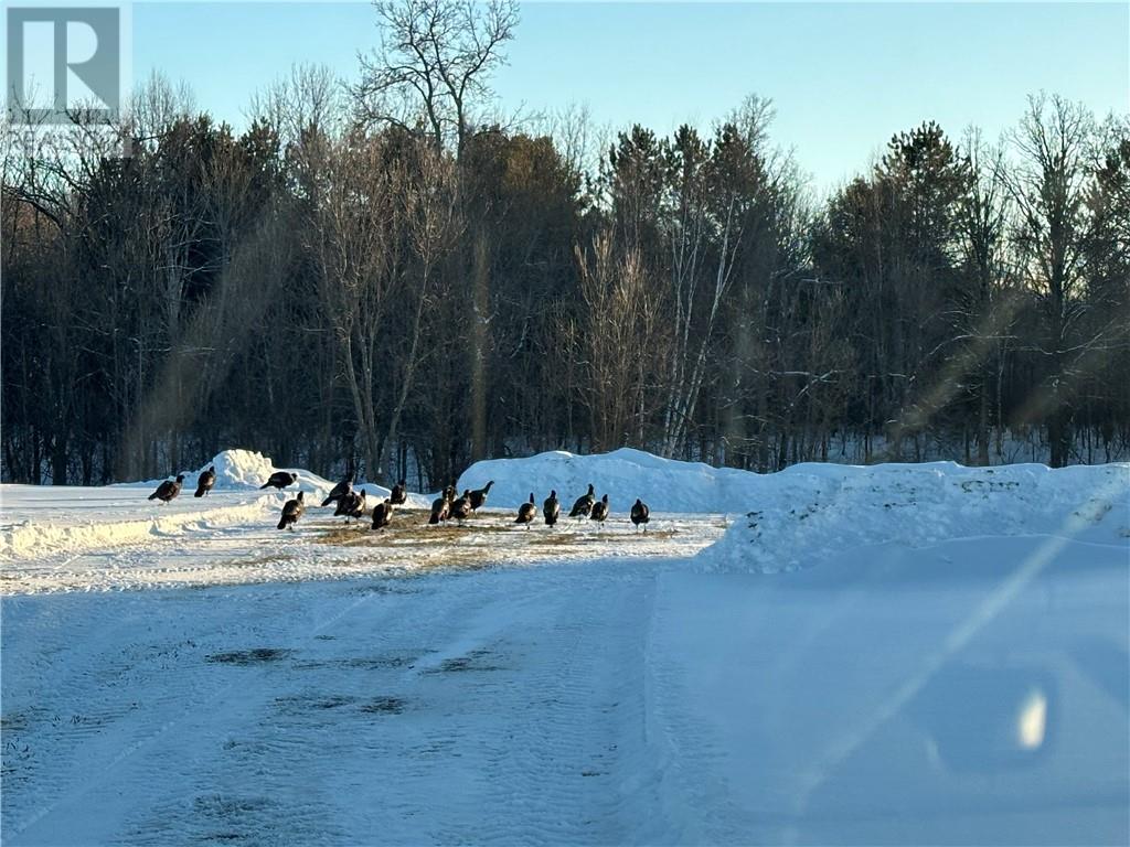 5482 Hwy 64, Noelville, Ontario  P0M 2K0 - Photo 71 - 2129291