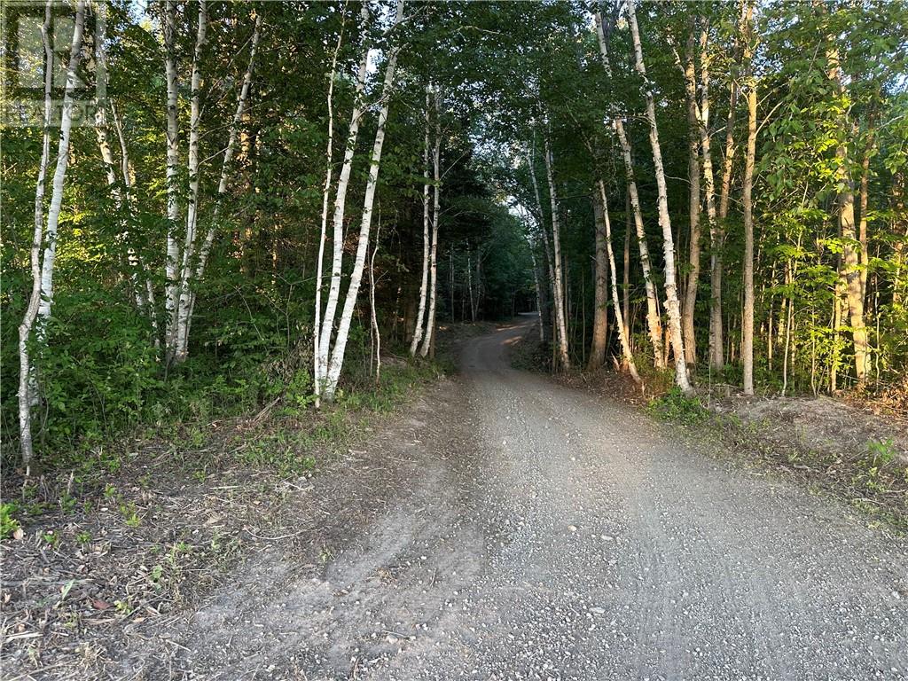 5482 Hwy 64, Noelville, Ontario  P0M 2K0 - Photo 64 - 2129291