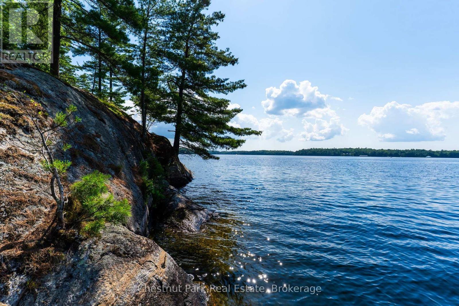 1218 Purdy Road, Muskoka Lakes, Ontario  P0B 1P0 - Photo 38 - X13563242