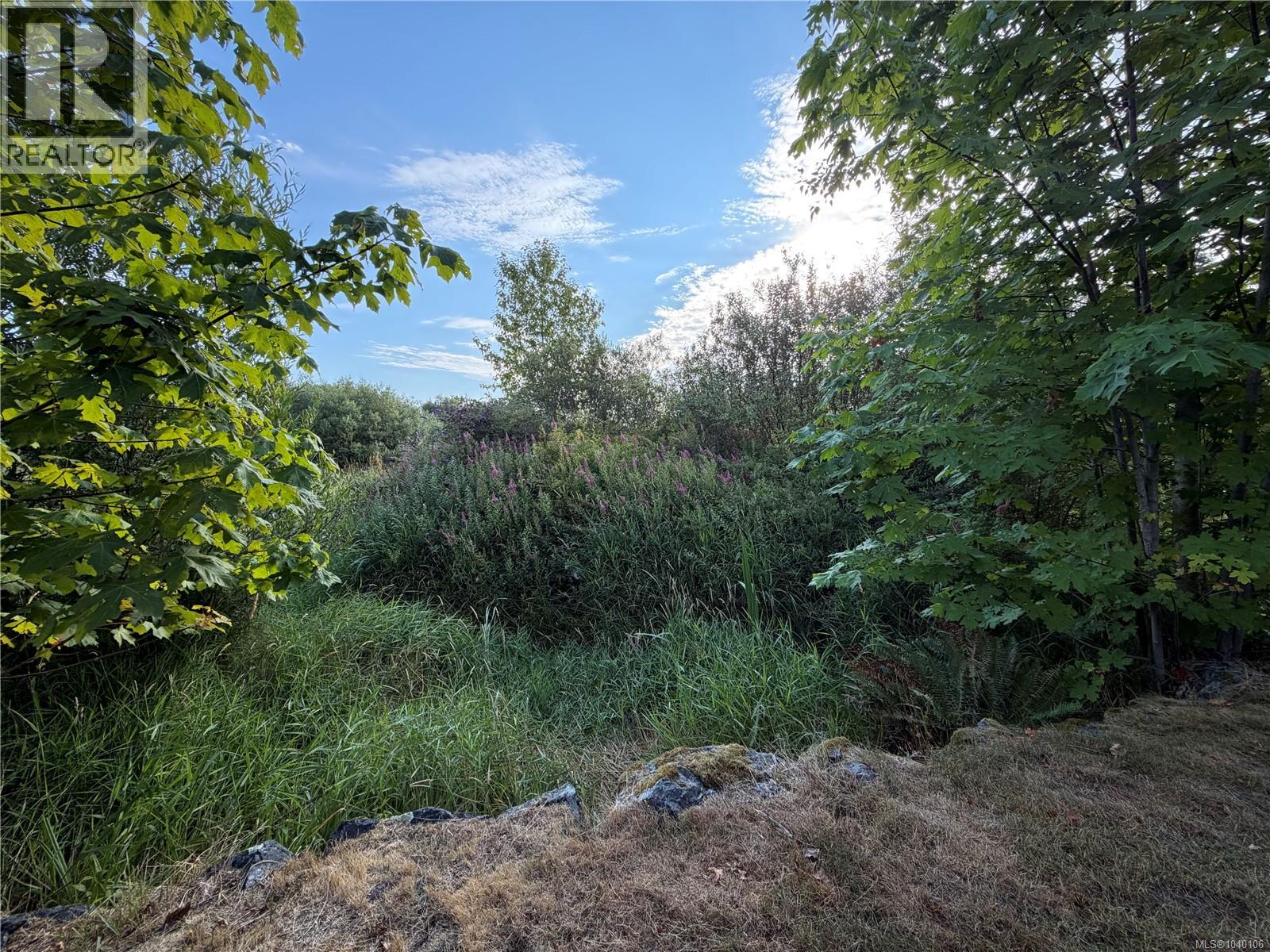 Listing image 45