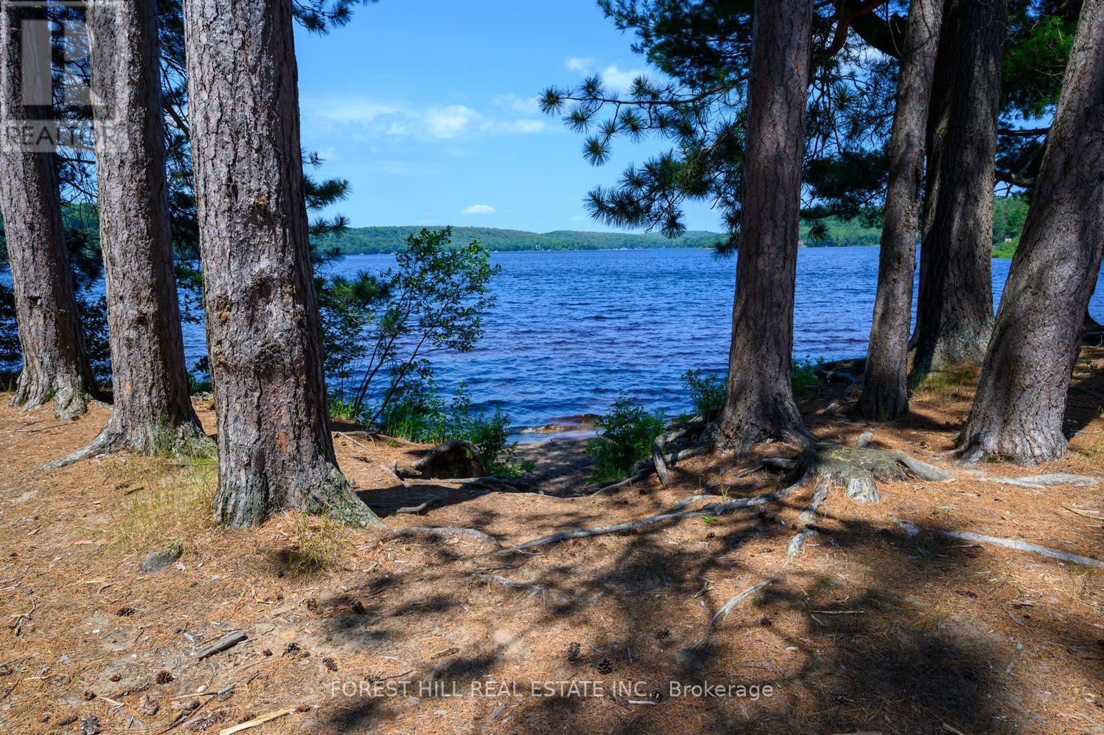 315 North Fox Lake Road, Huntsville, Ontario  P1H 2J2 - Photo 45 - X13580682