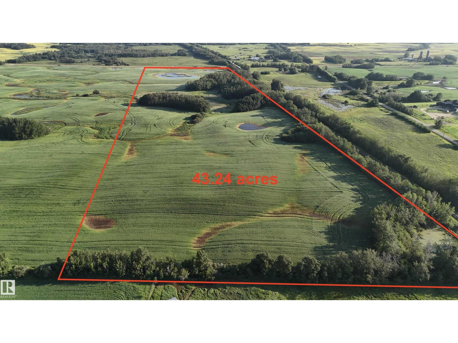 picture 54