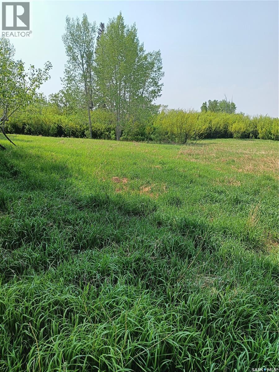 Hamm Acreage, Reford Rm No. 379, Saskatchewan  S0K 4W0 - Photo 3 - SK043048