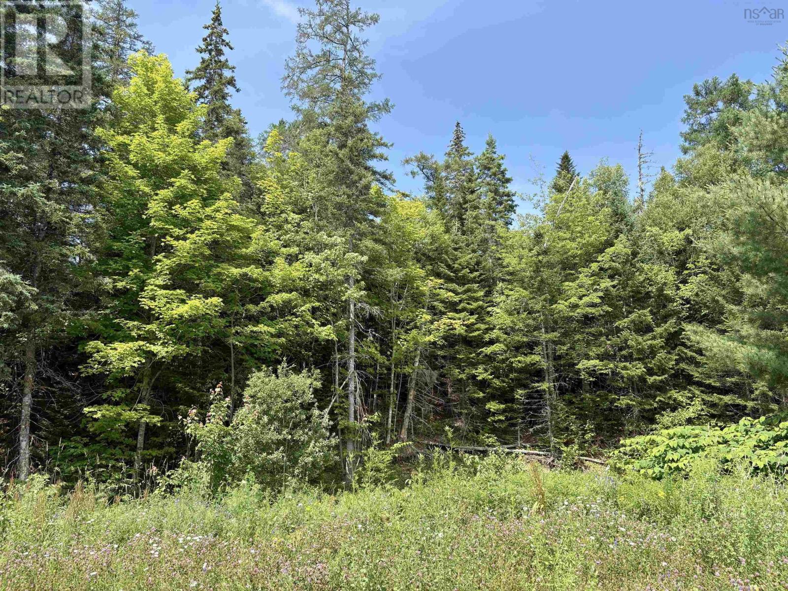1629 West Side Middle River, Middle River, Nova Scotia  B0E 1B0 - Photo 10 - 202617954
